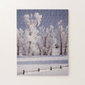 Frost Covered Trees and Fence, Colorado Legpuzzel (Verticaal)