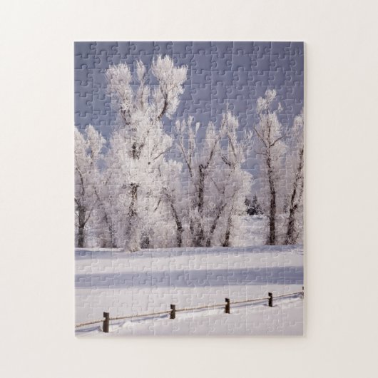 Frost Covered Trees and Fence, Colorado Legpuzzel (Verticaal)