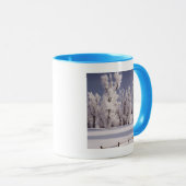 Frost Covered Trees and Fence, Colorado Mok (Voorkant rechts)