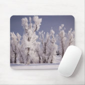 Frost Covered Trees and Fence, Colorado Muismat (Met muis)