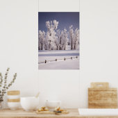 Frost Covered Trees and Fence, Colorado Poster (Keuken)