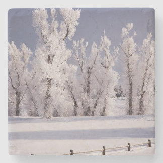 Frost Covered Trees and Fence, Colorado Stenen Onderzetter