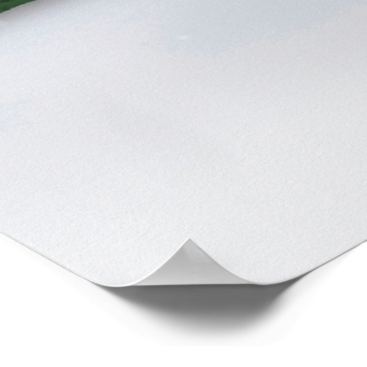 Frost E. Snowman Poster (Hoek)