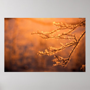 Frost Flakes met de ochtendzonsopgang Poster