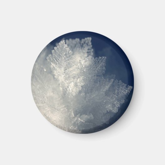 Frost Magneet (Voorkant)