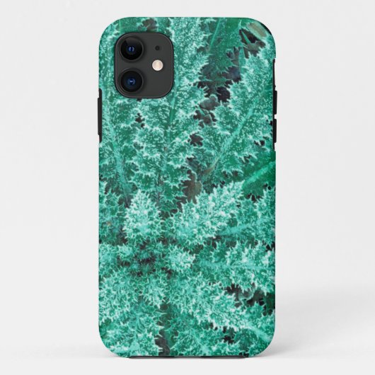 Frost on Thistle, Olympisch Nationaal Park Case-Mate iPhone Case (Achterkant)