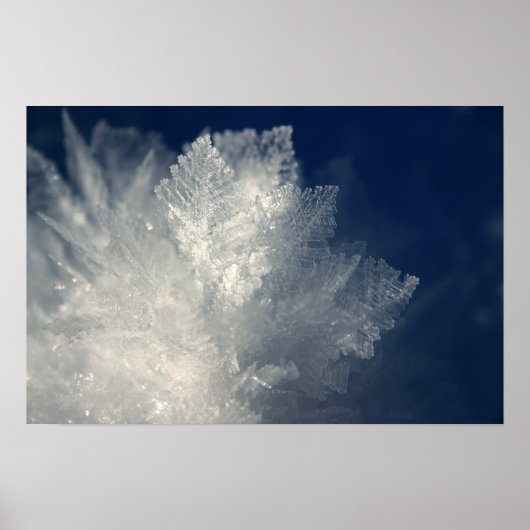 Frost Poster (Voorkant)