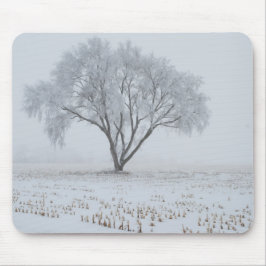 Frost Upon a Lonely Tree Muismat