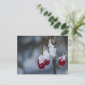 Frosted Berries Briefkaart (Staand voorkant)