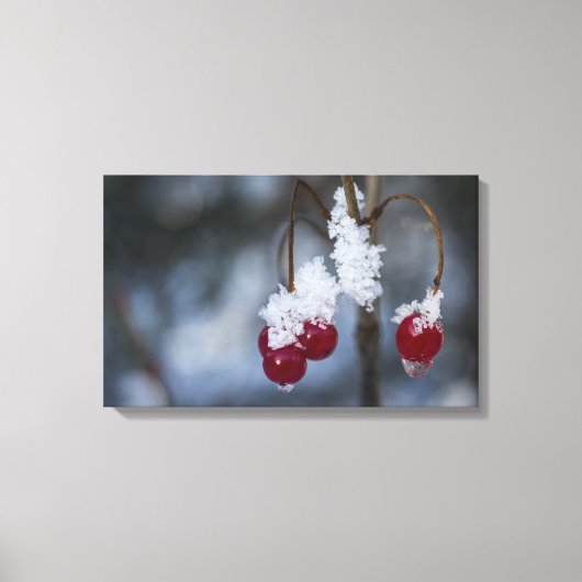 Frosted Berries Canvas Afdruk (Voorkant)