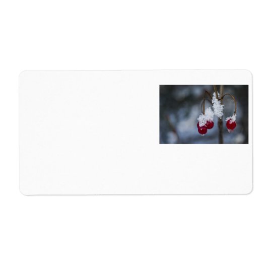 Frosted Berries Etiket (Voorkant)