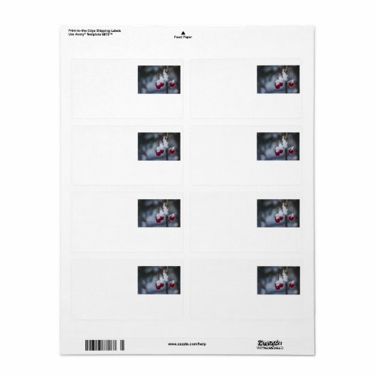 Frosted Berries Etiket (Full Sheet)