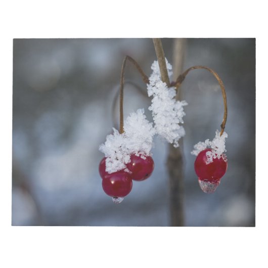 Frosted Berries Notitieblok (Voorkant)