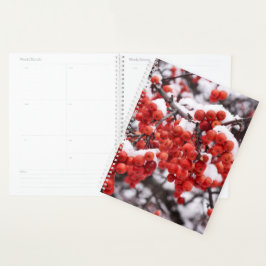 Frosted Berries Planner