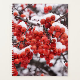 Frosted Berries Planner