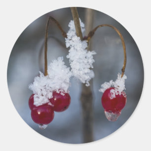 Frosted Berries Ronde Sticker
