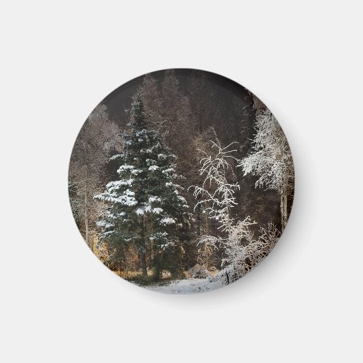 Frosted Black Woodland nachtmagneet Magneet (Voorkant)