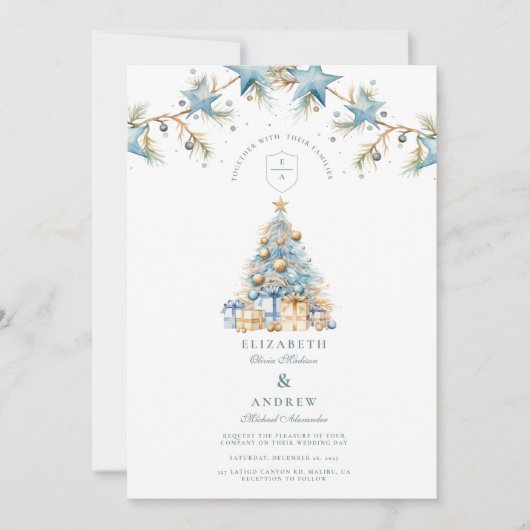 Frosted Blue Star Wedding Kaart (Voorkant)