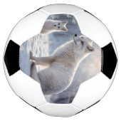 Frosted Bonds: de poolvos en haar welp Voetbal (Gedraaid)