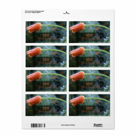 Frosted California Poppy Book Identification Etiket (Full Sheet)