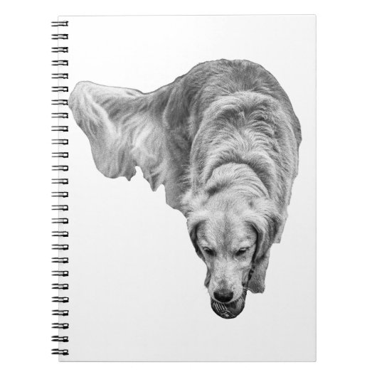 Frosted Dawn-reflecties Notitieboek (Voorkant)