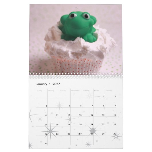 Frosted Fakes 2009 Calendar Kalender (Jan 2027)
