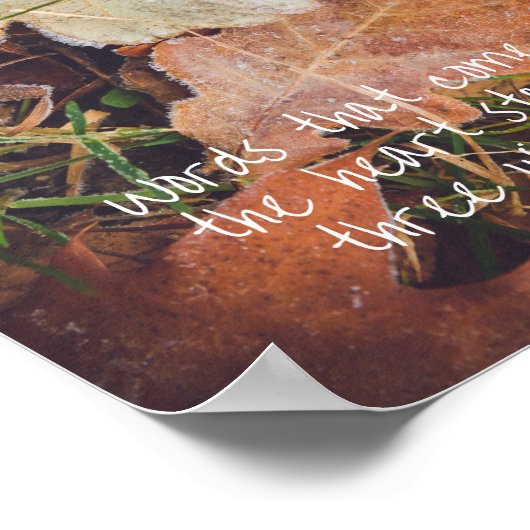 Frosted herfst eikenbladeren poster (Hoek)