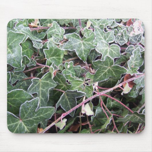 Frosted Ivy Mousepad Muismat (Voorkant)