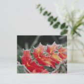 Frosted Leaves-postkaart Briefkaart (Staand voorkant)