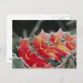 Frosted Leaves-postkaart Briefkaart (Voorkant / Achterkant)