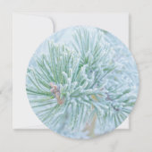 Frosted Pine Feestdagenkaart (Voorkant)