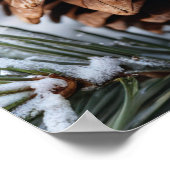 Frosted Pinecone Winter Wonderland Natuur Poster (Hoek)