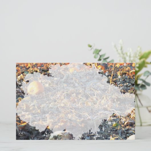 Frosted Pumpkin Patch Briefpapier (Staand voorkant)