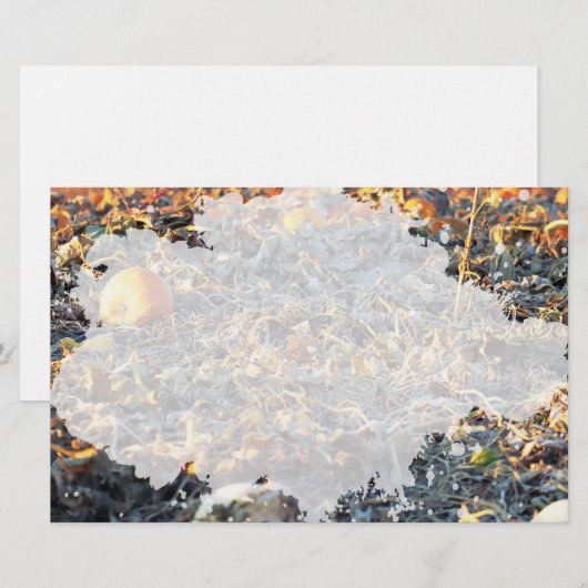 Frosted Pumpkin Patch Briefpapier (Voorkant / Achterkant)