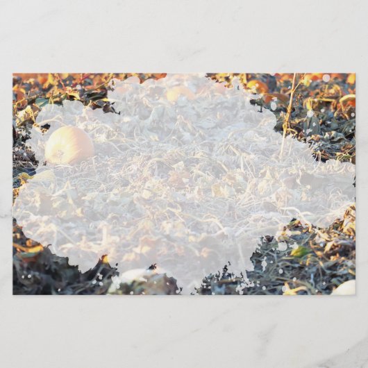 Frosted Pumpkin Patch Briefpapier (Voorkant)
