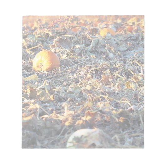 Frosted Pumpkin Patch Notitieblok (Voorkant)