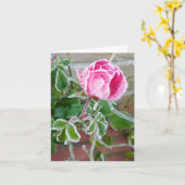 Frosted Roos Blanco kaart (Gele Bloem)