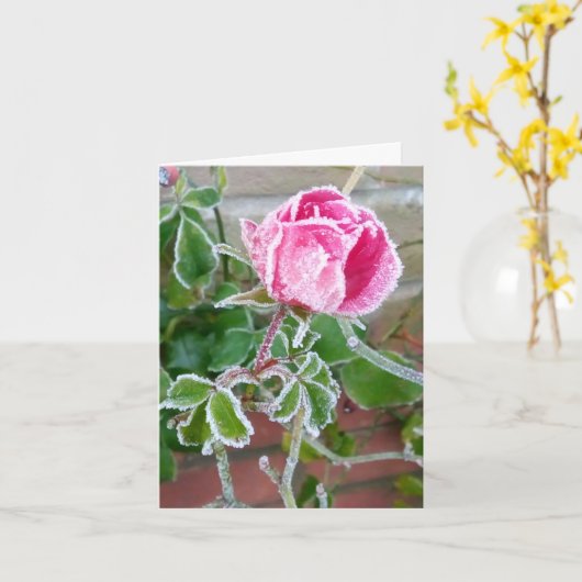 Frosted Roos Blanco kaart (Gele Bloem)