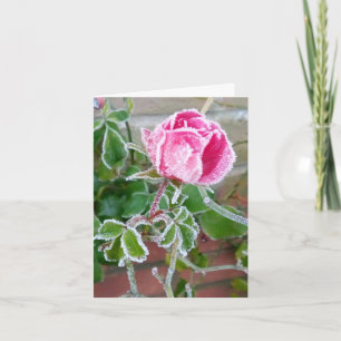 Frosted Roos Blanco kaart