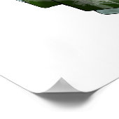 Frosted Spring Geisha Poster (Hoek)