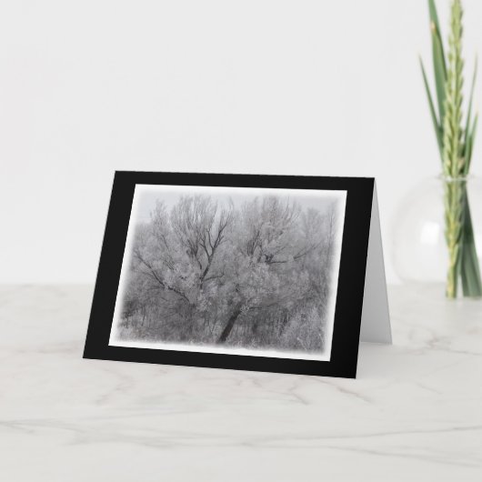 Frosted Trees Blank Wenskaart Kaart (Voorkant)