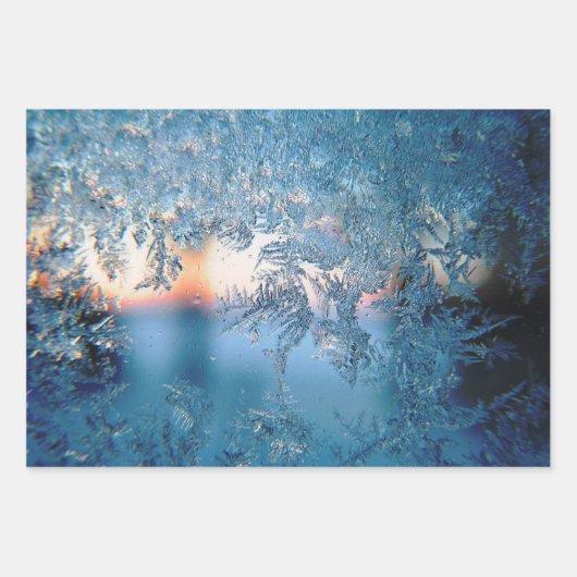 Frosted Uitzicht Inpakpapier Vel (Voorkant 2)