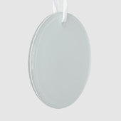 Frosted Witte Stevige Kleur | Klassiek | Elegant Ornament (voorkant)