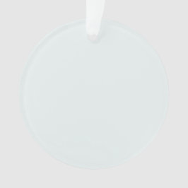 Frosted Witte Stevige Kleur | Klassiek | Elegant Ornament