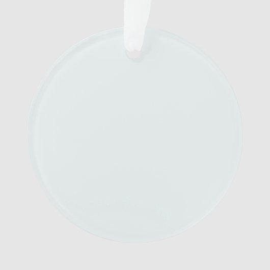 Frosted Witte Stevige Kleur | Klassiek | Elegant Ornament (voorkant)