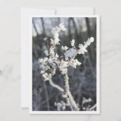  „Frostpoesie – Einladung mit Raureif-Zweig“ Kaart (Voorkant)
