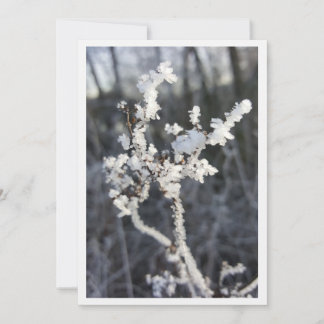  „Frostpoesie – Einladung mit Raureif-Zweig“ Kaart