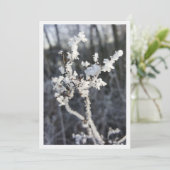 „Frostpoesie – Einladung mit Raureif-Zweig“ Kaart (Staand voorkant)