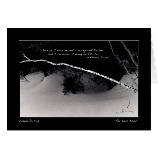 Frost's Birch Dream (Voorkant Horizontaal)