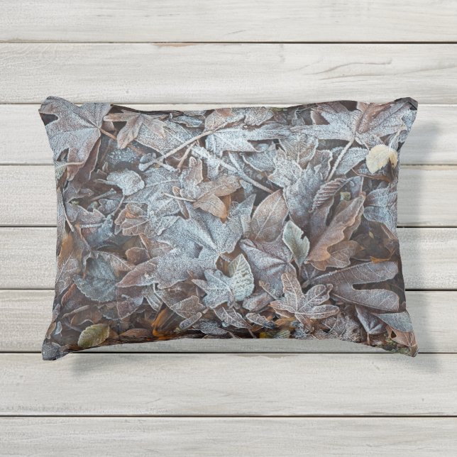 Frosty Autumn Leaves Buitenkussen (Voorkant)